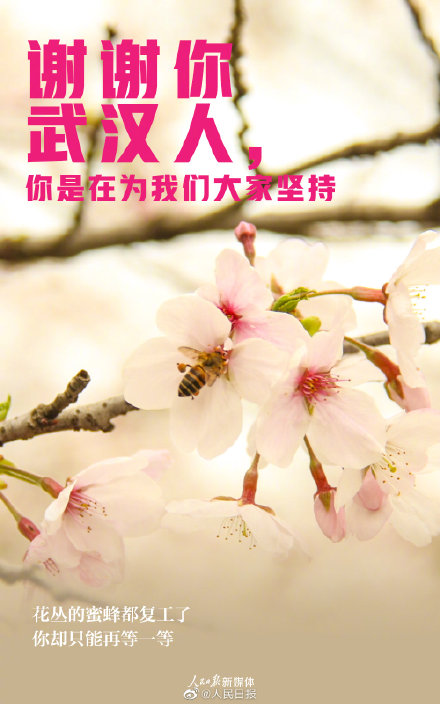 謝謝武漢人的堅持