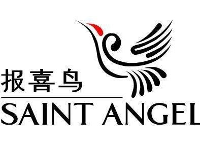 職業(yè)裝定制品牌排行榜-報喜鳥